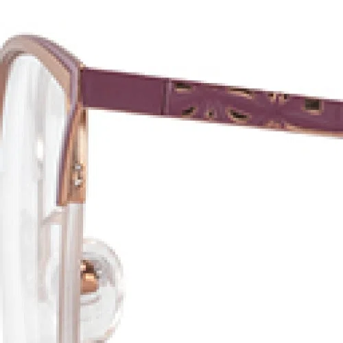 Cote DAzur CDA396 Eyeglasses - view 8